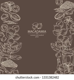Background with macadamia: branch, leaves, macadamia nuts, soap and bath salt . Cosmetic and medical plant. Vector hand drawn illustration. 