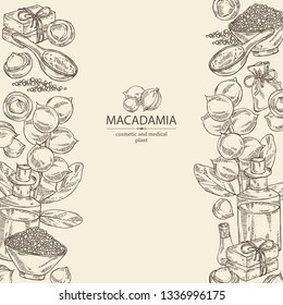 Background with macadamia: branch, leaves, macadamia nuts, soap and bath salt . Cosmetic and medical plant. Vector hand drawn illustration.