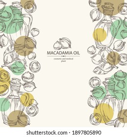 Background with macadamia: branch, macadamia nuts and bottle of macadamia oil. Vector hand drawn illustration
