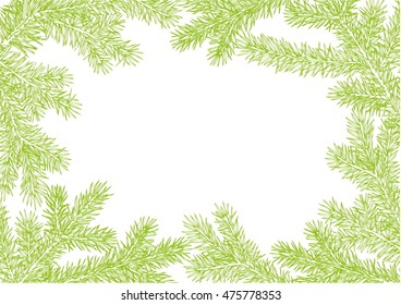 background made of fir branches. Green lush branch of spruce with the two sides. 