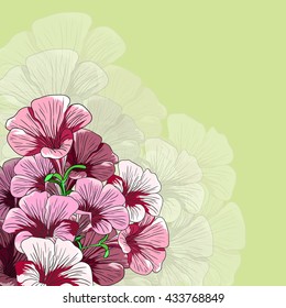 Fondo de flores y plantas. Hierbas y flores. Botánica. 