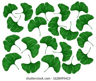 Background made of Ginkgo biloba leafs, vector illustration