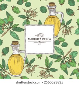 Background with madhuca indica: madhuca indica plant, leaves, flowers, madhuca indica fruits and bottle of madhuca oil. Vector hand drawn illustration