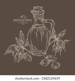 Background with madhuca indica: madhuca indica plant, leaves, flowers, madhuca indica fruits and bottle of madhuca oil. Vector hand drawn illustration