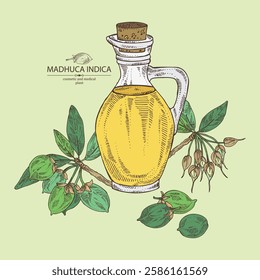 Background with madhuca indica: madhuca indica plant, leaves, flowers, madhuca indica fruits and bottle of madhuca oil. Vector hand drawn illustration