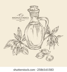 Background with madhuca indica: madhuca indica plant, leaves, flowers, madhuca indica fruits and bottle of madhuca oil. Vector hand drawn illustration