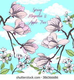Background with magnolia and apple tree. Hand drawn spring flowers. Vector illustration