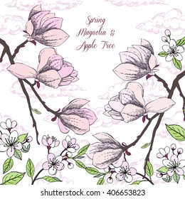 Background with magnolia and apple tree. Hand drawn spring flowers. Vector illustration