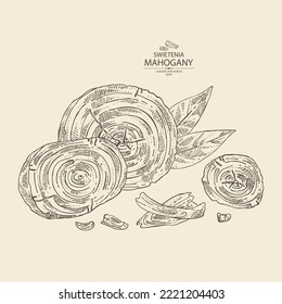 Background with mahogany:  swietenia plant, leaves and wood of mahogany. Swietenia. Cosmetic, perfumery and medical plant. Vector hand drawn illustration