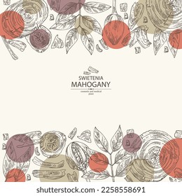 Background with mahogany:  swietenia plant, leaves and wood of mahogany. Swietenia. Cosmetic, perfumery and medical plant. Vector hand drawn illustration