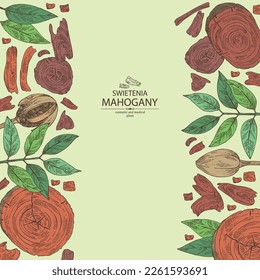 Background with mahogany:  swietenia plant, leaves and wood of mahogany. Swietenia. Cosmetic, perfumery and medical plant. Vector hand drawn illustration