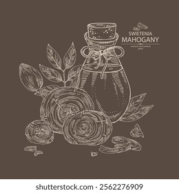 Background with mahogany:  swietenia plant, leaves, wood of mahogany and bottle of mahogany essential oil. Swietenia. Cosmetic, perfumery, plant. Vector hand drawn