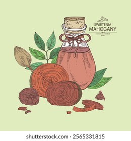 Background with mahogany:  swietenia plant, leaves, wood of mahogany and bottle of mahogany essential oil. Swietenia. Cosmetic, perfumery, plant. Vector hand drawn