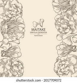 Background with maitake: piece of mushroom, maitake mushrooms. Grifola frondosa. Vector hand drawn Mushroom illustrations