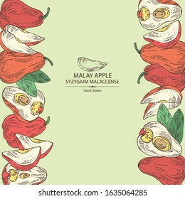Background with malay apple: yamboza fruit, malay apple slice and leaves. Syzygium malaccense. Vector hand drawn illustration.