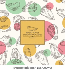 Background with malay apple: yamboza fruit, malay apple slice and leaves. Syzygium malaccense. Vector hand drawn illustration.