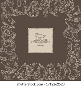 Background with malay apple: yamboza fruit, malay apple slice and leaves. Syzygium malaccense. Vector hand drawn illustration.