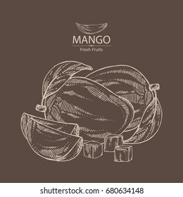 Background with mango fruit,  leaves and slice. Vector hand drawn illustration