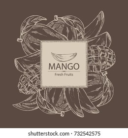 Background with mango fruit, leaves and mango slice. Vector hand drawn illustration.