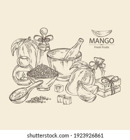 Background with mango fruit and mango slices. Soap and bath salts. Cosmetic and medical plants. Vector hand drawn illustration. 