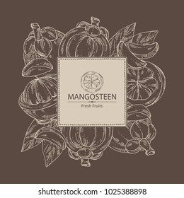 Background with mangosteen mangosteen fruit and leaves. Vector hand drawn illustration.