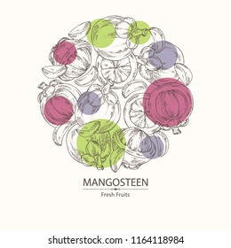 Background with mangosteen mangosteen fruit and leaves. Vector hand drawn illustration.
