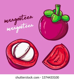 Background with mangosteen mangosteen fruit and leaves. Vector hand drawn illustration.