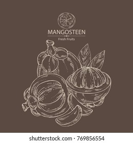 Background with mangosteen mangosteen fruit and leaves. Vector hand drawn illustration.