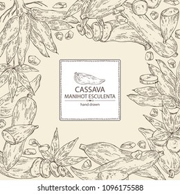 Background with manihot esculenta: cassava root, tuber, manihot slice and leaves. Vector hand drawn illustration.