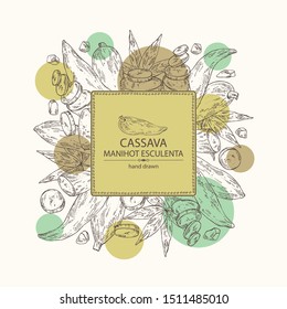 Background with manihot esculenta: cassava root, tuber, manihot slice and leaves. Vector hand drawn illustration.