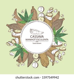 Background with manihot esculenta: cassava root, tuber, manihot slice and leaves. Vector hand drawn illustration.