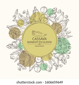 Background with manihot esculenta: cassava root, tuber, manihot slice and leaves. Vector hand drawn illustration.