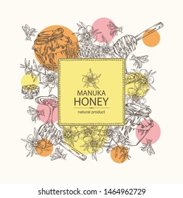 Background with manuka honey: flowers of manuka, bee and jar of honey, honeycomb. Vector hand drawn illustration.