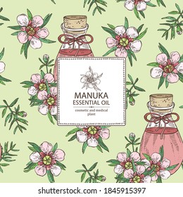 Background with manuka leaves and flowers and bottle of manuka essential oil. Cosmetic, perfumery and medical plant. Vector hand drawn illustration.