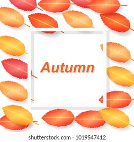 Background with maple autumn leaves