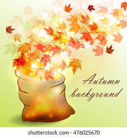 Background with maple autumn leaves