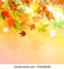 Background with maple autumn leaves