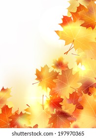 Background with maple autumn leaves. plus EPS10 vector file