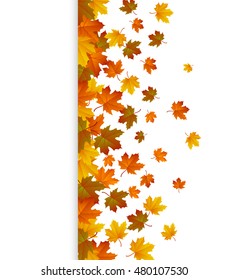 Background with maple autumn leaves. Vector