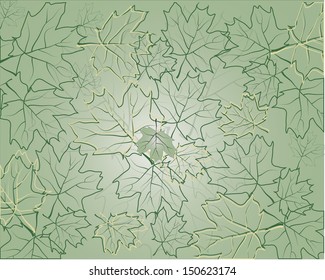 background  maple leaves