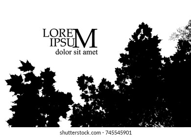 background maple leaves. Vector