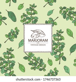 Antecedentes con el marjoram. Ilustración dibujada a mano por vectores.