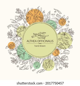 Background with marshmallow officinalis: althea officinalis flower, root and leaves. Cosmetic and medical plant. Vector hand drawn illustration