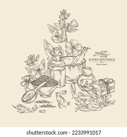 Background marshmallow officinalis: althea officinalis flower, root and leaves. Oil, soap and bath salt . Cosmetics and medical plant. Vector hand drawn illustration