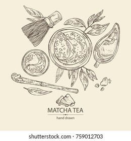 Background with matcha green tea : matcha, bamboo matcha whisk, a cup of matcha and teapot. Ingredient for chinese and japanese tea ceremony. Vector hand drawn illustration.