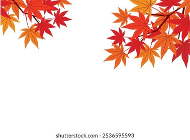 Background material of autumn leaves on white background Autumn scenery