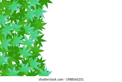 Background material of blue maple in early summer, blue autumn leaves on the left, white background