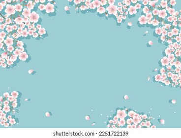 Background material of cherry blossoms in full bloom