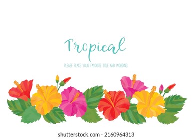 Material de fondo de hibisco de imagen tropical