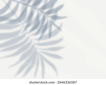 Background material with palm leaves casting shadows on a white wall